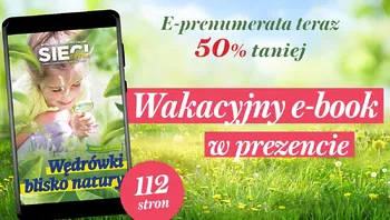 21c1406ee5a7460282c7adcbe6cc1c11.webp