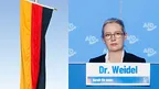 1fd9bf16a652471ab145f67fd7a7935f.webp