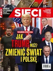 45.webp
