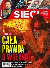 7.webp
