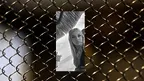 c06b78a896c04f209b2b1fb1987eb991.webp