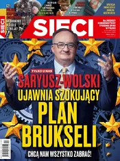 24.webp