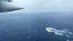 9a259c25ed0d4cd589106391d0981098.webp
