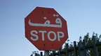 9f87dbd535b74aa787f78ea5b3dd40ea.webp
