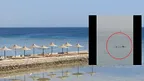 ebdfe3b34a334ad996809d7ad47484c1.webp