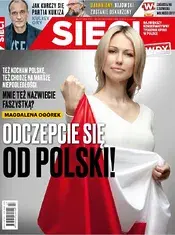 47.webp