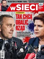 19.webp
