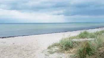 lisamus-baltic-sea-3626382_1920.webp