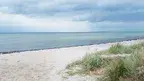 lisamus-baltic-sea-3626382_1920.webp