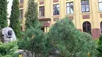 czestochow.webp