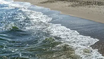 plaża.webp
