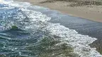 plaża.webp