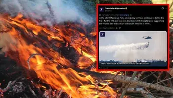 fireee.webp