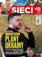 Sieci30.webp