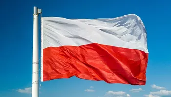 ecb972bc54dd43f0a2a184188079e0e7.webp