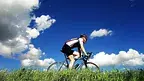 a1436d27b3664facb1413cdff734c993.webp