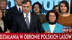 ea440138335a420b9586d82509ec4b9d.webp