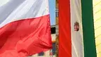 3613fffa54ff478d93e3cbf424ff0de3.webp