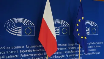 d607e34563d24aef9728bf489a9bc089.webp
