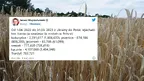 71342b5af769404c9528ac6fc102faee.webp