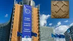 0b074076e79e457eb9a8174a3306dedf.webp