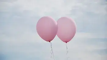 871ff4e24ed84c73b279d8cec1ff6d57.webp