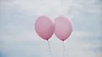 871ff4e24ed84c73b279d8cec1ff6d57.webp