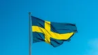 c8ca025355164543a5060837aae87671.webp