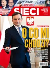 12.webp