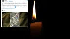 71fece8681914e7f9f4a700e62712f38.webp