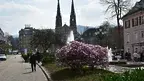 f4255af42416401aabecd0eb82e987bf.webp