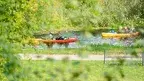 AS_DSC06797_20250914 ok.webp