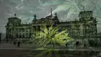 niemcythc.webp