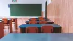pexels-didsss-2675061.webp