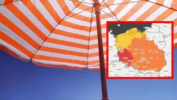 parasolmapa.webp