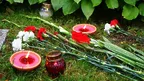 abd02451e820439d9a77206ae87bb672.webp