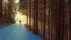 9600f7096c7d49bd83034008989c33e8.webp