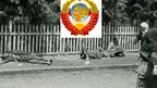 c0f218290a054387abeb92b6c7064358.webp