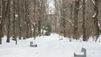 d0c71226600449d39f667c3d2c9bfb66.webp