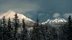 c56ba42f021447d181162fc032335488.webp
