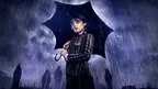 c8748c05750541ca8b9670314805eccf.webp