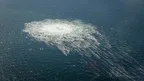 00d2664ae2a94d72aa874b290e3032c0.webp