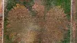 d1db5b12837d448e817cd0840a62d8bf.webp