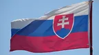 3061e30a04af4e74beddb4f276ff0296.webp
