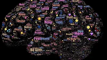 6c412b4ec3af4c21a9b813acb08f1518.webp