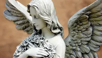 72b9e18628714d94b5a05be4ffd38360.webp