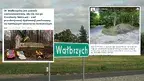 a2c92bf62fa941f0b85dc2ccf9e4ff53.webp