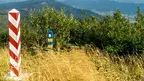 d01f8460ec174be8b1725ddd682160c0.webp