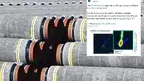 47170266b75c441b822ff6e97869c16f.webp