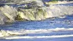 8f27421dbc0044d2aac6b929d7f19a90.webp